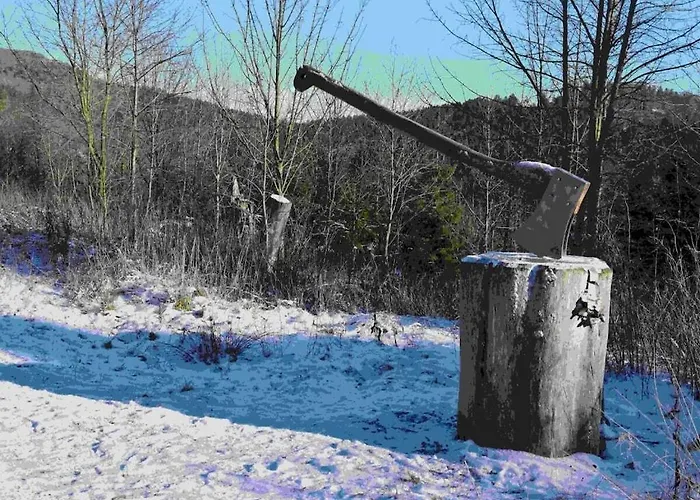 Feriehus Koehler - Huette Comfortable *